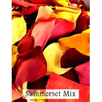 2 x Flower Girl Baskets with Rose Petals